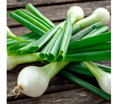 Oignon Blanc Pays