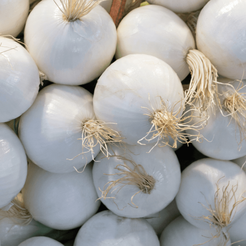 Oignons Frais Vrac BIO