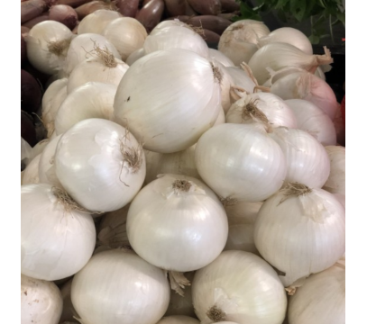 Oignons Frais Vrac BIO