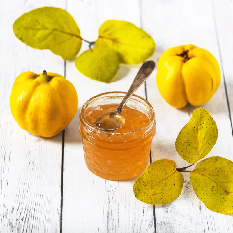 Coing (à confiture)
