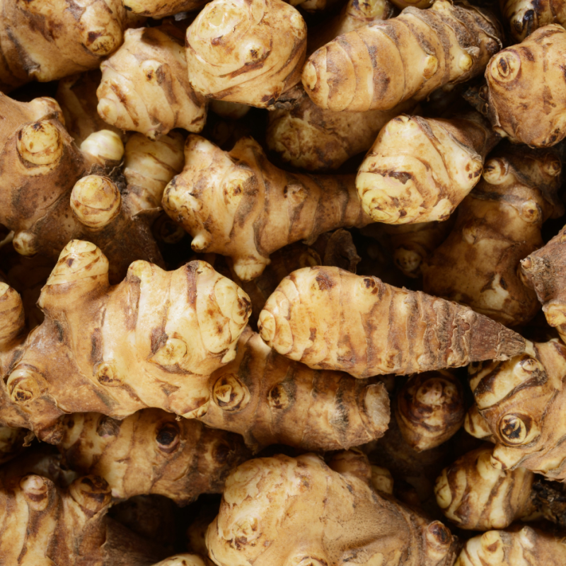 Topinambours BIO