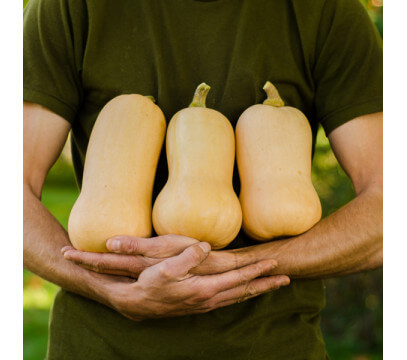 Courge Butternut BIO