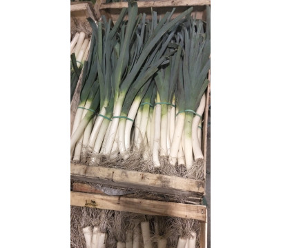 Poireaux BIO